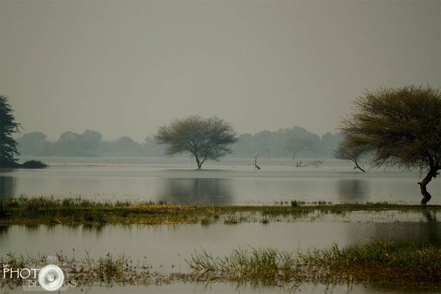 Thol Bird Sanctuary